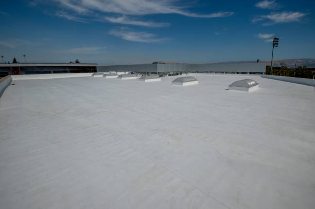 Best Skylight Installation and Repair  in Marshall, MI