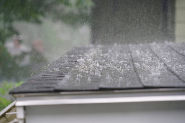 Best Roof Coating and Sealing  in Marshall, MI