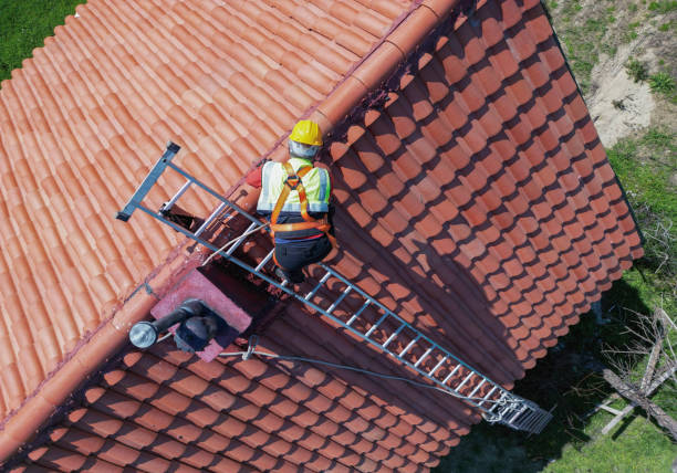 Best Roof Insulation Installation  in Marshall, MI